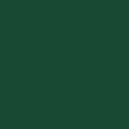 Green fabric swatch